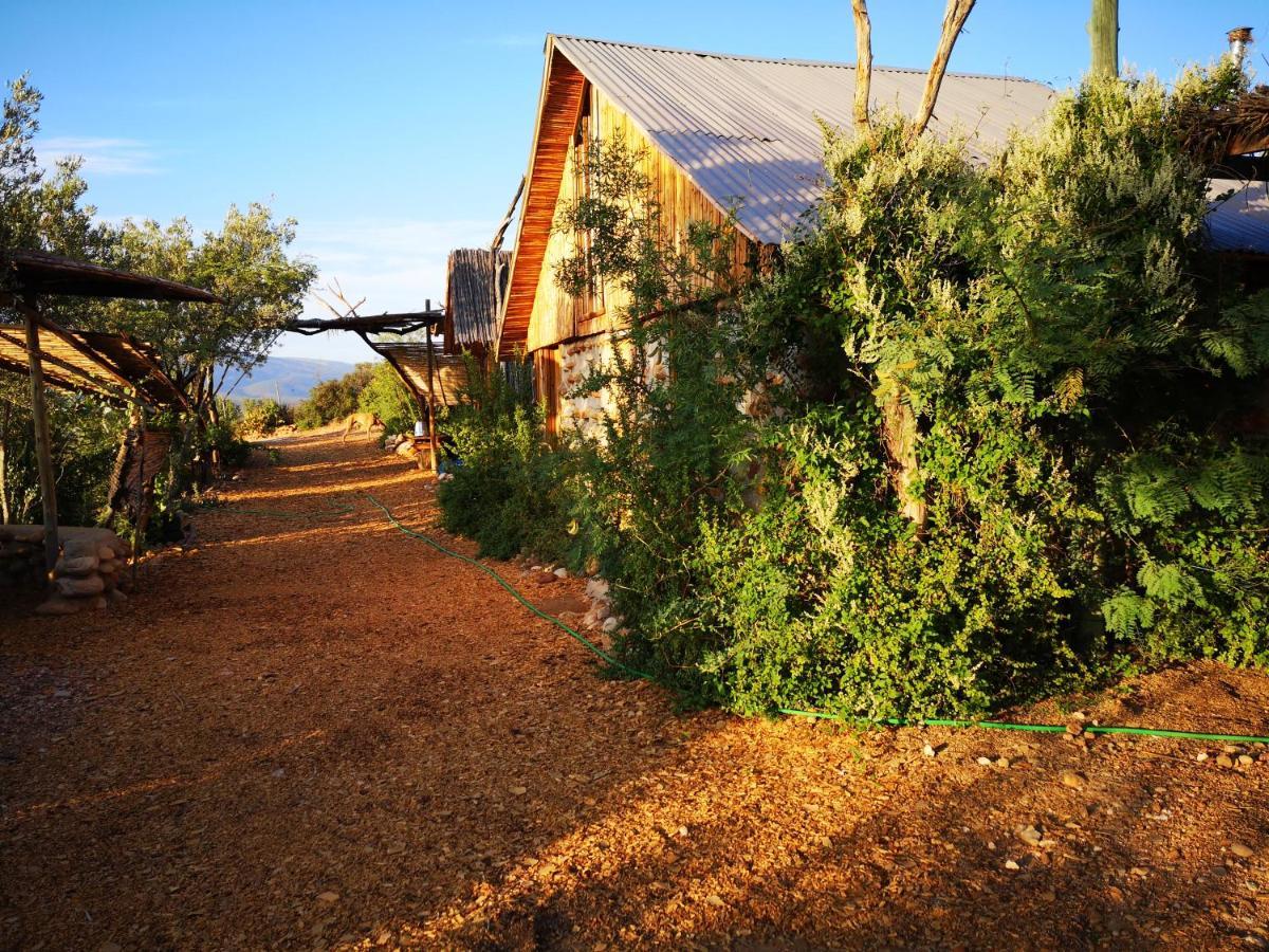 Amber Lagoon Backpackers Lodge Vleirivier Экстерьер фото