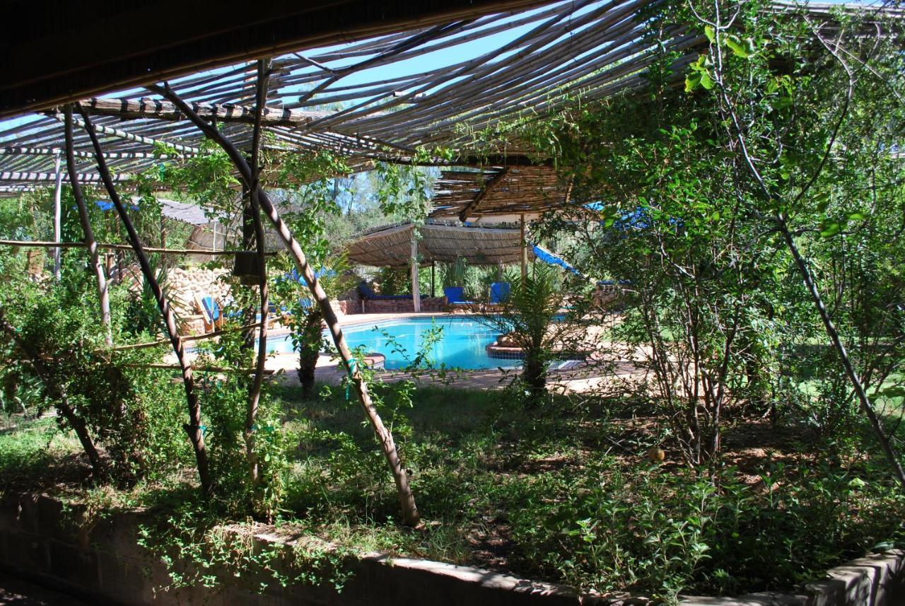 Amber Lagoon Backpackers Lodge Vleirivier Экстерьер фото