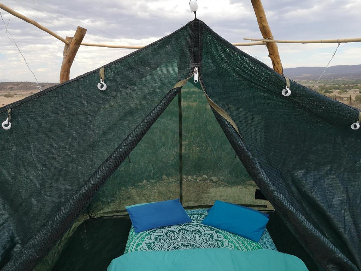Amber Lagoon Backpackers Lodge Vleirivier Экстерьер фото