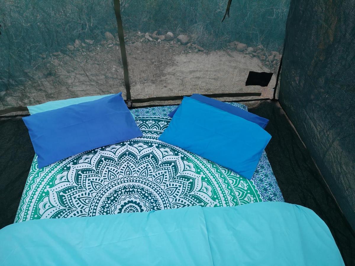 Amber Lagoon Backpackers Lodge Vleirivier Экстерьер фото