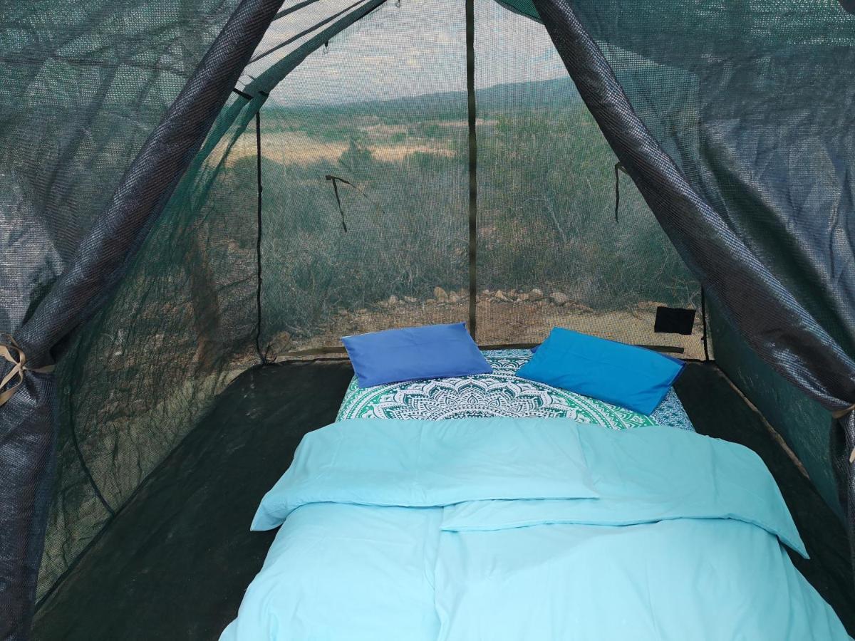 Amber Lagoon Backpackers Lodge Vleirivier Экстерьер фото