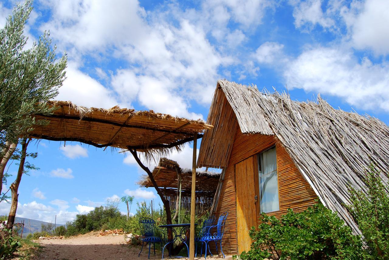 Amber Lagoon Backpackers Lodge Vleirivier Экстерьер фото